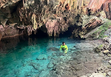 Swim in cenote Nido de Halcón