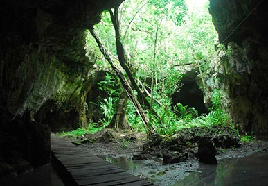 Zak Aktun Tour Two Cenotes and Cave Adventure in the World’s Largest Underground River System